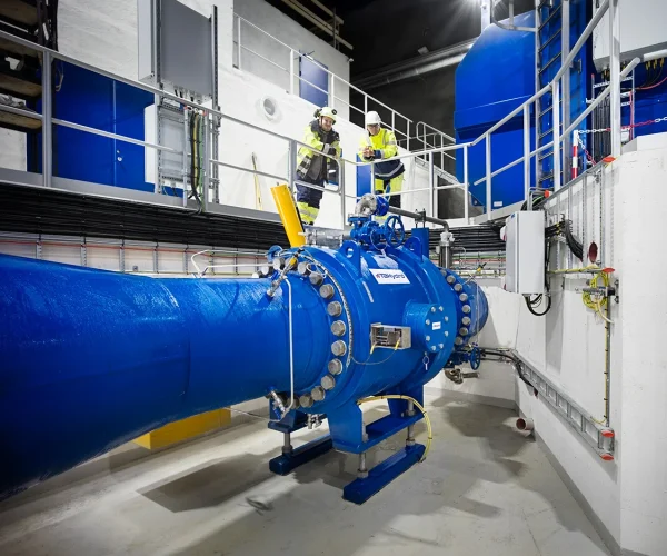 Spetals_Verk_Feios_2025-003_web